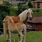شقة Host4u - Blondie Prealps *