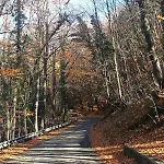 شقة Host4u - Blondie Prealps Madonna della Costa